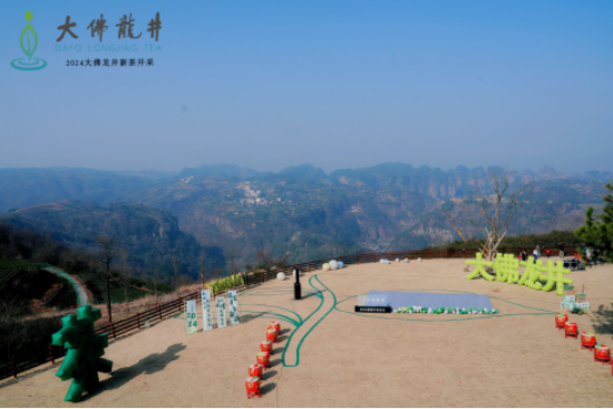 关于2024年浙江新昌大佛龙井新茶抢“鲜”开采的资讯