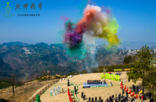 关于2024年浙江新昌大佛龙井新茶抢“鲜”开采的资讯(6)