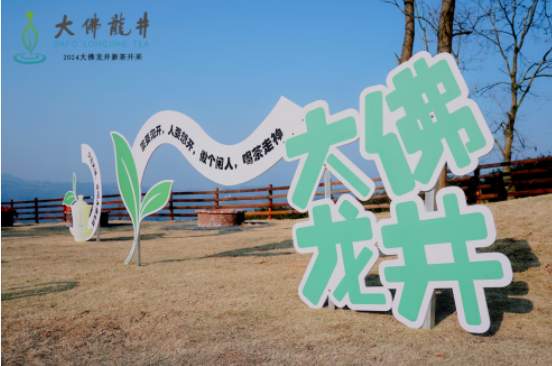 关于2024年浙江新昌大佛龙井新茶抢“鲜”开采的资讯(1)