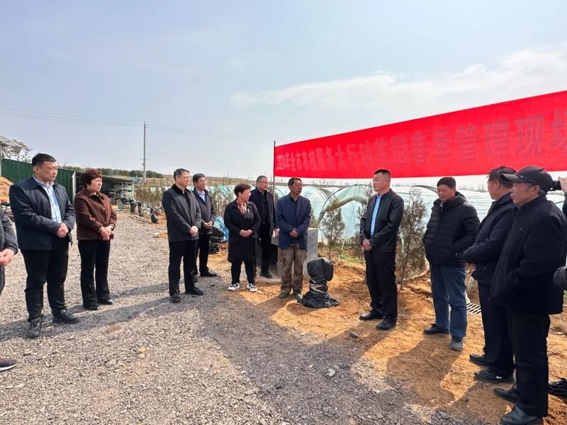 关于2024年全市农技服务大行动茶园春季管理暨质量安全控制规范培训会在桃林镇举办的最新消息(5)