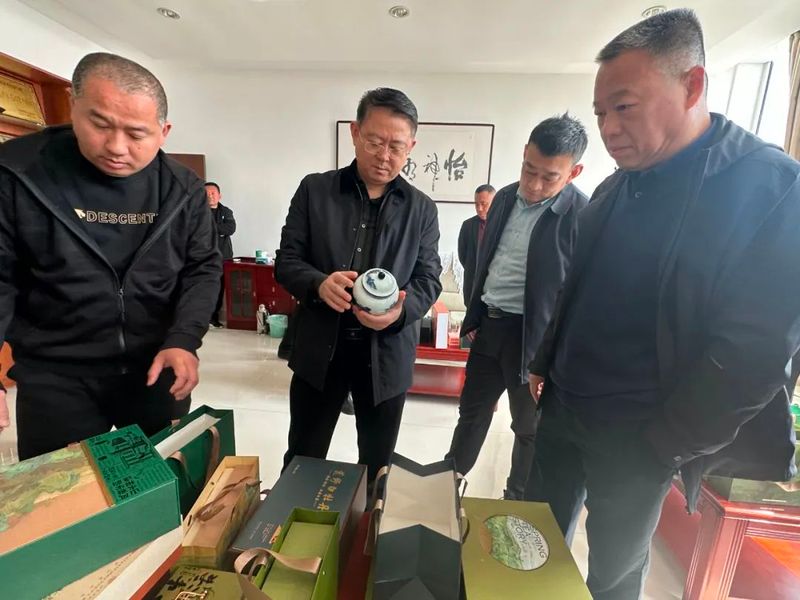 关于2024年全市农技服务大行动茶园春季管理暨质量安全控制规范培训会在桃林镇举办的最新消息(8)