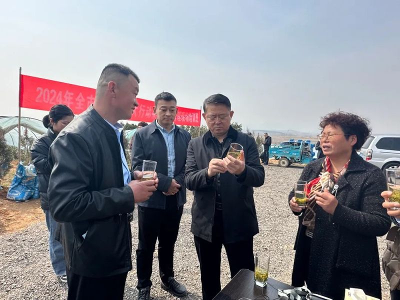 关于2024年全市农技服务大行动茶园春季管理暨质量安全控制规范培训会在桃林镇举办的最新消息(6)