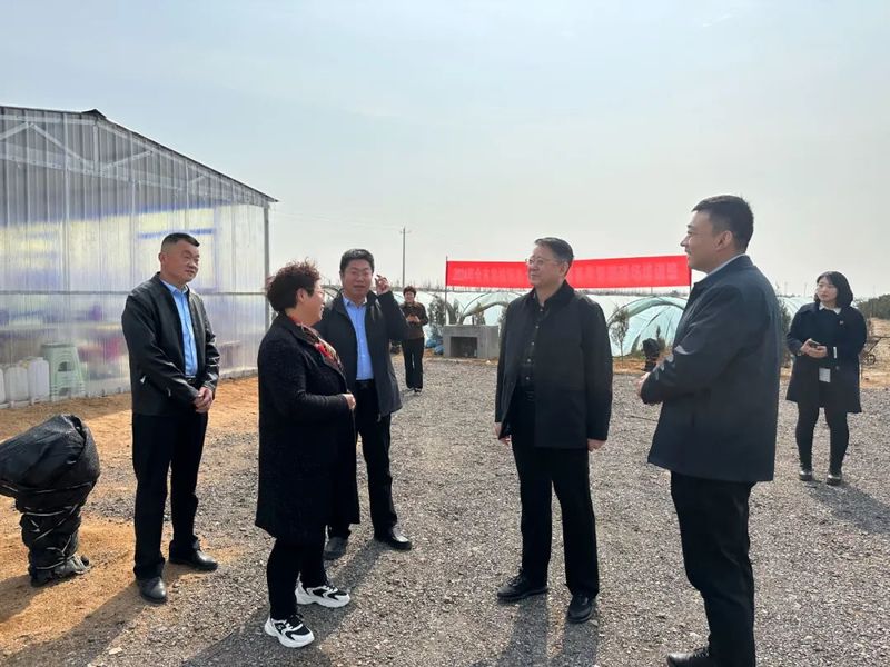 关于2024年全市农技服务大行动茶园春季管理暨质量安全控制规范培训会在桃林镇举办的最新消息