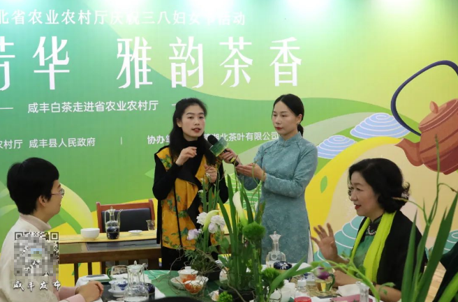 有关于咸丰白茶走进武汉的相关信息(4)