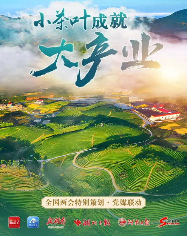 有关于全国两会特别策划·党媒联动 小茶叶成就大产业的相关内容