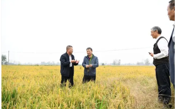 有关于全国两会特别策划·党媒联动 小茶叶成就大产业的相关内容(7)