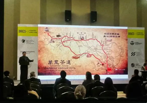 有关于全国两会特别策划·党媒联动 小茶叶成就大产业的相关内容(19)