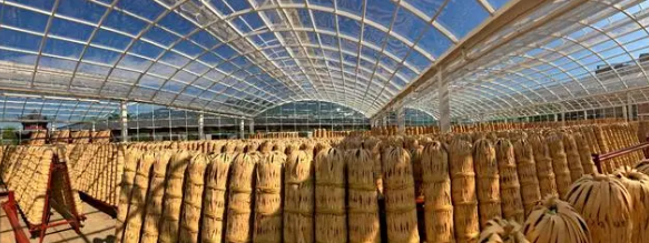 有关于全国两会特别策划·党媒联动 小茶叶成就大产业的相关内容(10)