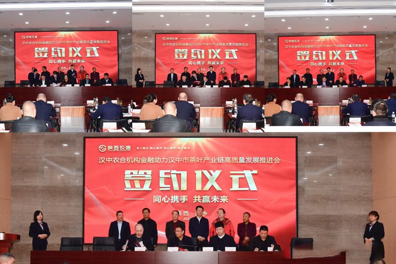 关于汉中农合机构金融助力茶叶产业链高质量发展推进会议成功召开的相关信息(1)