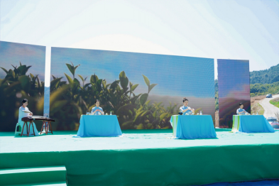 关于茶韵雅阳 春日顺礼——泰顺县第三届三杯香采茶节在泰顺县雅阳镇开幕的资讯(9)