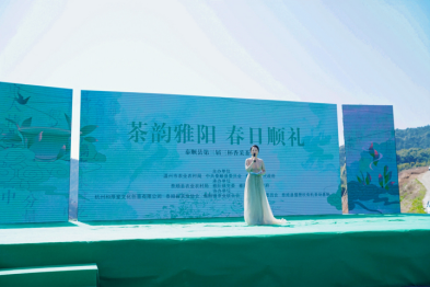 关于茶韵雅阳 春日顺礼——泰顺县第三届三杯香采茶节在泰顺县雅阳镇开幕的资讯