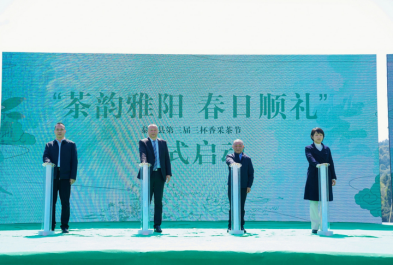 关于茶韵雅阳 春日顺礼——泰顺县第三届三杯香采茶节在泰顺县雅阳镇开幕的资讯(5)