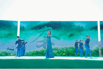 关于茶韵雅阳 春日顺礼——泰顺县第三届三杯香采茶节在泰顺县雅阳镇开幕的资讯(7)