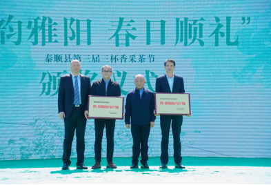 关于茶韵雅阳 春日顺礼——泰顺县第三届三杯香采茶节在泰顺县雅阳镇开幕的资讯(6)