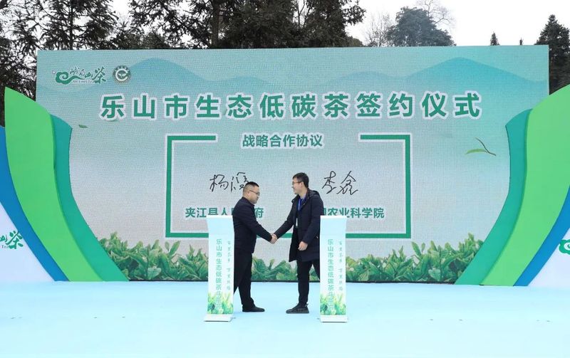 有关于采茶、制茶、斗茶……夹江全国生态低碳茶示范基地好热闹！的新闻(7)