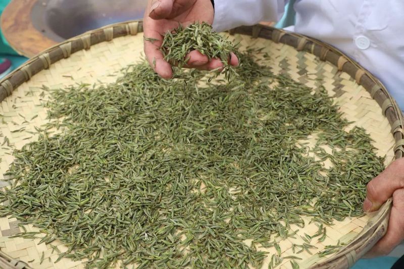 有关于采茶、制茶、斗茶……夹江全国生态低碳茶示范基地好热闹！的新闻(3)