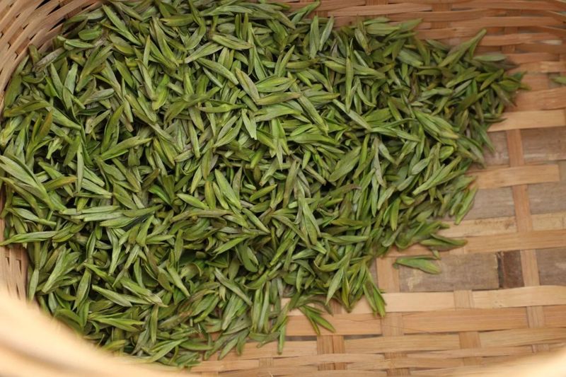 有关于采茶、制茶、斗茶……夹江全国生态低碳茶示范基地好热闹！的新闻(5)