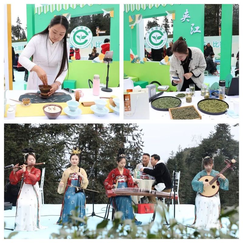 有关于采茶、制茶、斗茶……夹江全国生态低碳茶示范基地好热闹！的新闻(26)