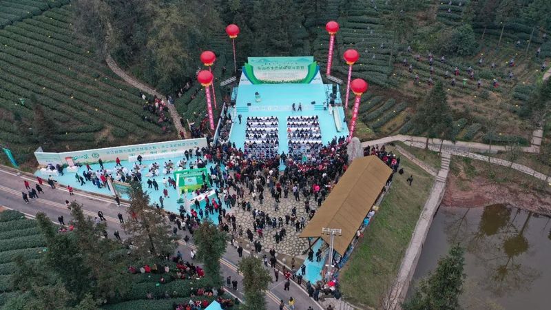 有关于采茶、制茶、斗茶……夹江全国生态低碳茶示范基地好热闹！的新闻
