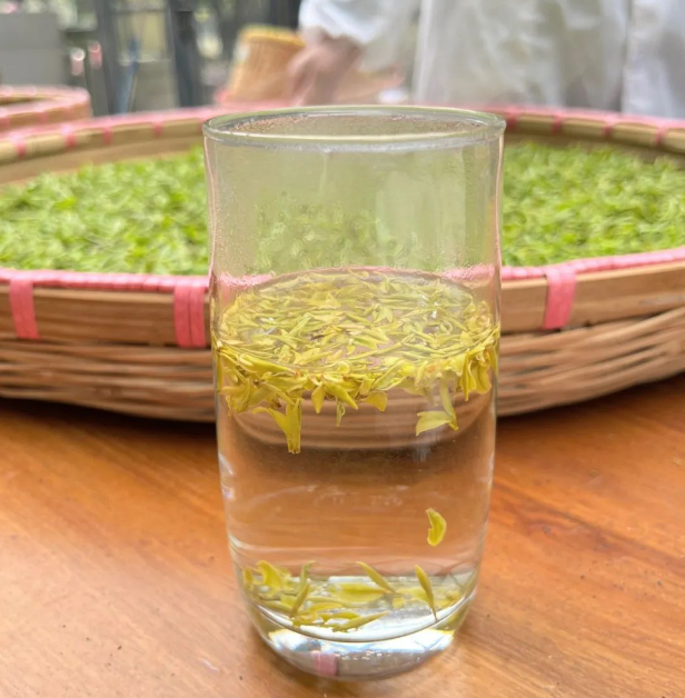 有关于2024年无锡市区首轮春茶开采！的消息(5)