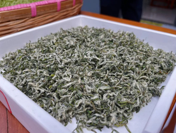 有关于2024年无锡市区首轮春茶开采！的消息(6)