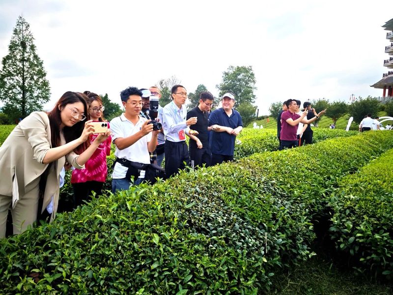 关于“国际青年贵州行活动”走进湄潭的最新消息