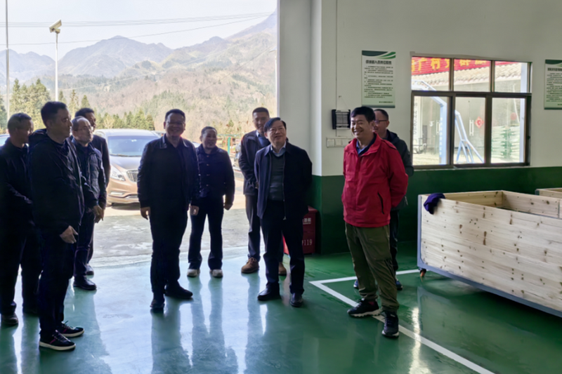 有关于州政协副主席杨显龙、一级巡视员周志龙到都匀调研指导茶产业发展工作的资讯(1)