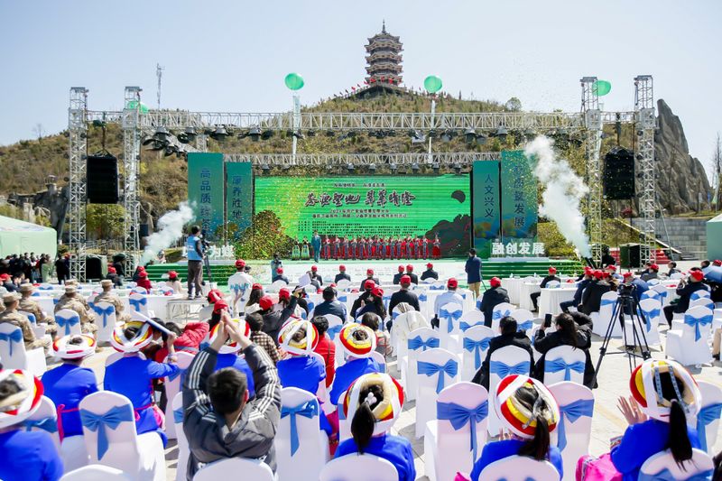 关于2024年茶产业高质量发展大会暨第三届贵州（晴隆）早春茶全国采购商活动举行的信息