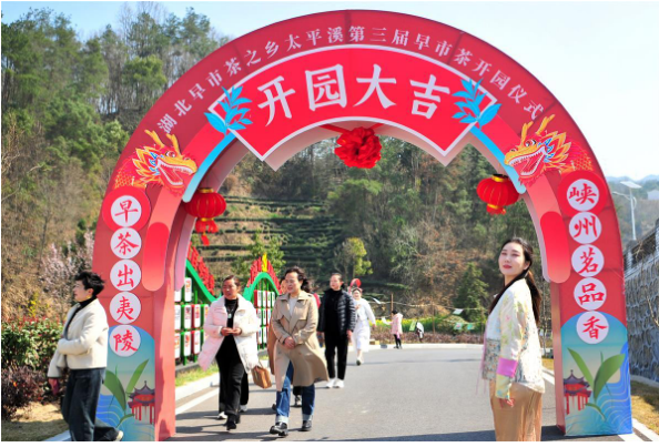 关于“湖北早市茶之乡”太平溪第三届早市茶开园的最新消息