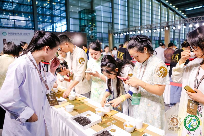 有关于巅峰对决，茶人竞秀！“凤凰单丛茶”杯2023国际鼎承宋代斗茶大会收官，15g金牌得主揭晓！的相关信息(15)