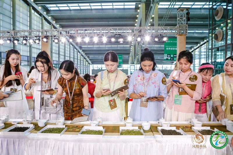 有关于巅峰对决，茶人竞秀！“凤凰单丛茶”杯2023国际鼎承宋代斗茶大会收官，15g金牌得主揭晓！的相关信息(19)