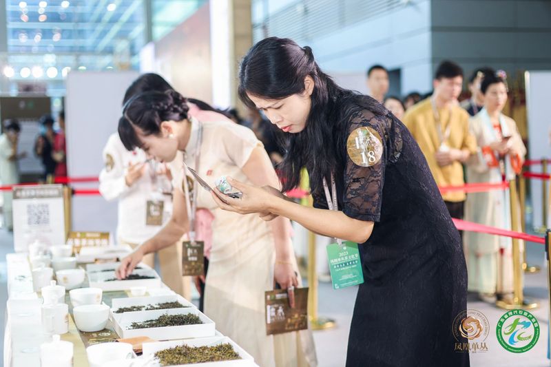 有关于巅峰对决，茶人竞秀！“凤凰单丛茶”杯2023国际鼎承宋代斗茶大会收官，15g金牌得主揭晓！的相关信息(23)