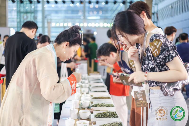 有关于巅峰对决，茶人竞秀！“凤凰单丛茶”杯2023国际鼎承宋代斗茶大会收官，15g金牌得主揭晓！的相关信息(18)