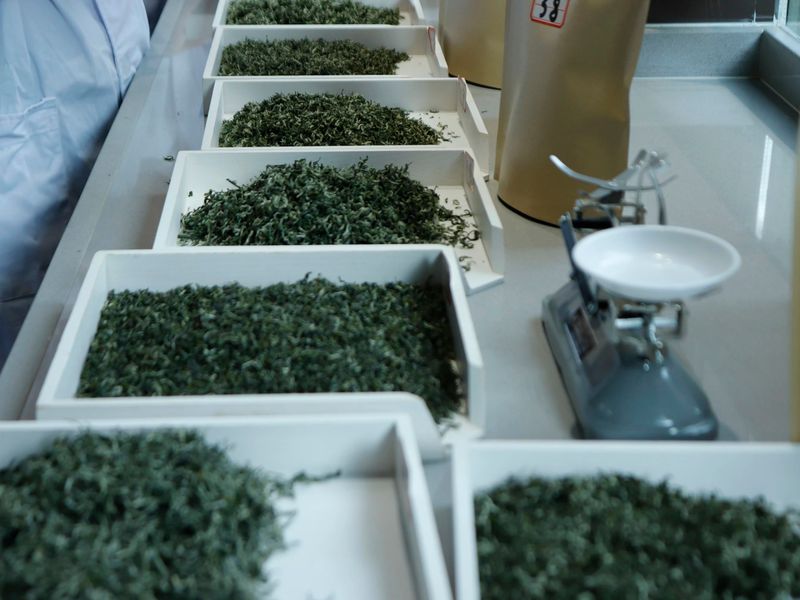 有关于2023年“贵州绿茶”产品质量推选评价审评会在贵阳举行的资讯(4)