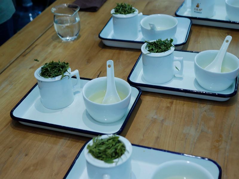 有关于2023年“贵州绿茶”产品质量推选评价审评会在贵阳举行的资讯(7)