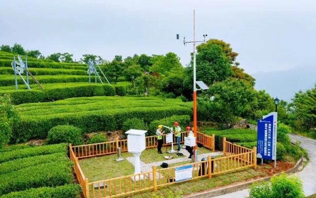 有关于福鼎：气象赋能 茶业发展 有“智”更有“质”的新闻(4)