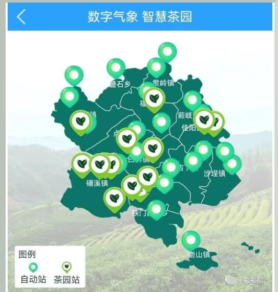 有关于福鼎：气象赋能 茶业发展 有“智”更有“质”的新闻(3)
