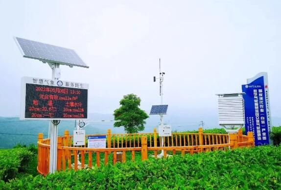 有关于福鼎：气象赋能 茶业发展 有“智”更有“质”的新闻