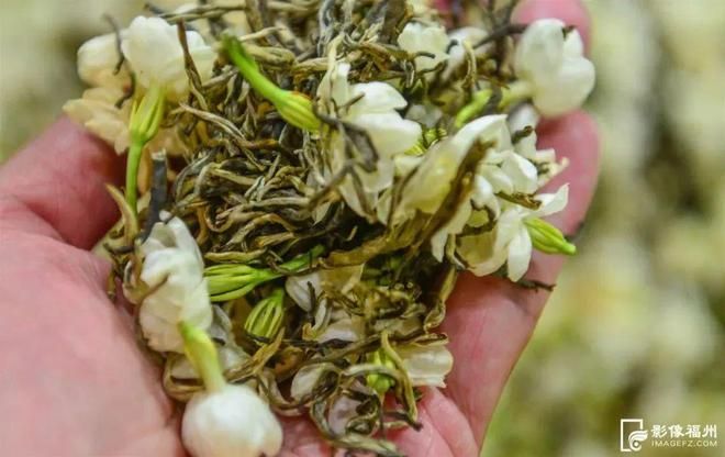 关于又一爆款俘获年轻消费者？茉莉花茶的消费新风尚的内容(2)