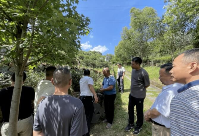 关于秤架瑶族乡考察团赴福建省考察调研茶叶产业发展和乡村振兴工作的信息(3)