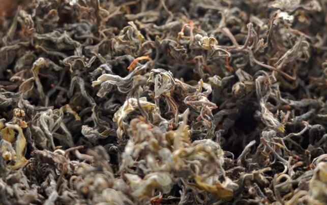 有关于重庆巫溪县:老鹰茶领跑茶业“新赛道”的相关信息