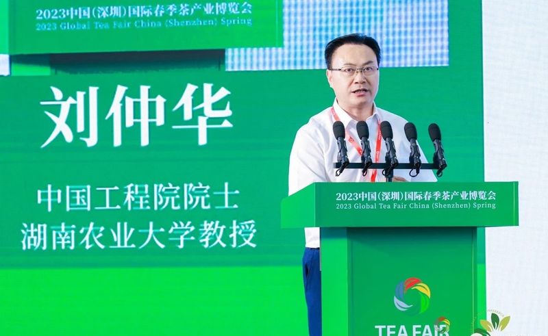 关于《2023中国绿茶区域公用品牌价值评估专项报告》正式发布，潇湘茶位列第三的资讯