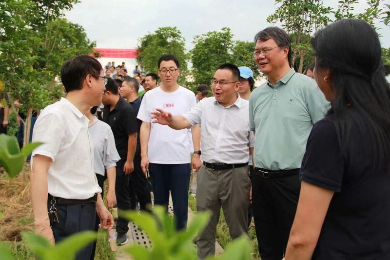 有关于茶树地方种质资源收集保护研讨与观摩会今日在黄山召开的信息(10)