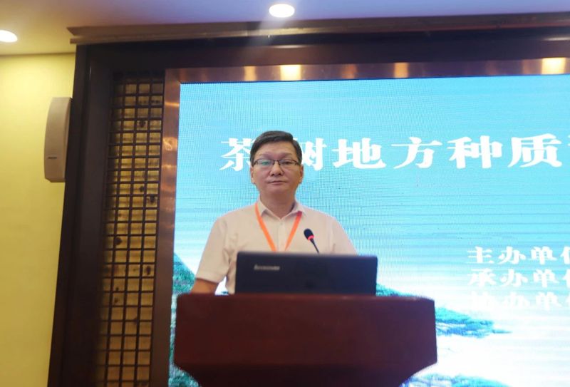 有关于茶树地方种质资源收集保护研讨与观摩会今日在黄山召开的信息(13)