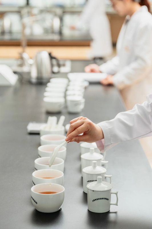 关于中国人自己的红茶风味轮权威发布，帮你找到喜欢的红茶！的信息(24)