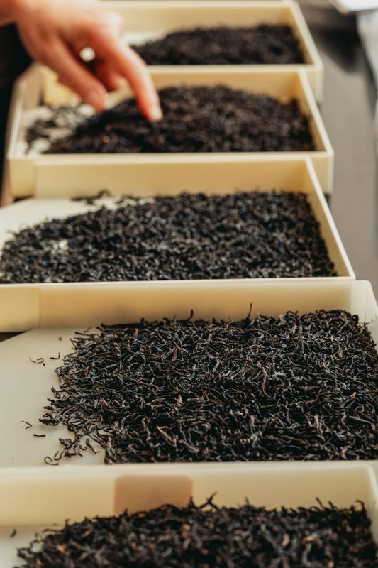 关于中国人自己的红茶风味轮权威发布，帮你找到喜欢的红茶！的信息(16)