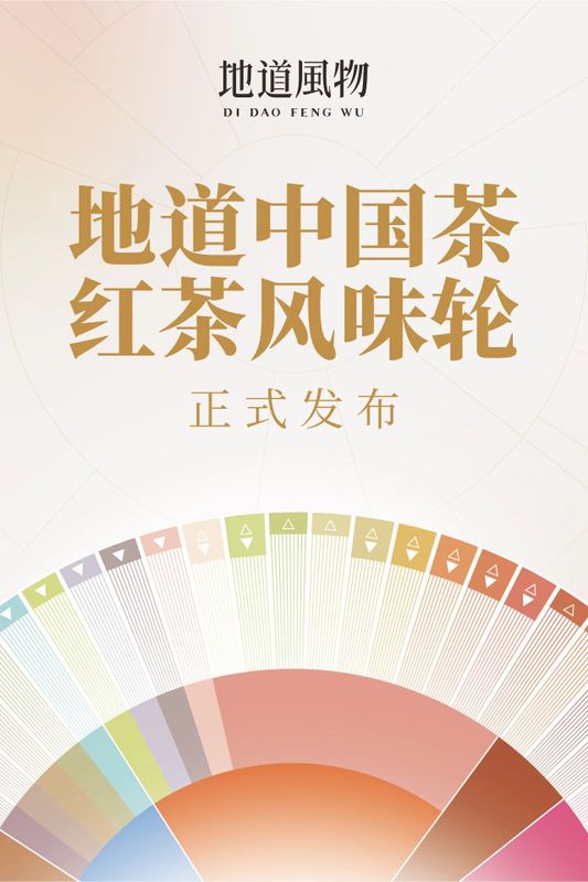 关于中国人自己的红茶风味轮权威发布，帮你找到喜欢的红茶！的信息