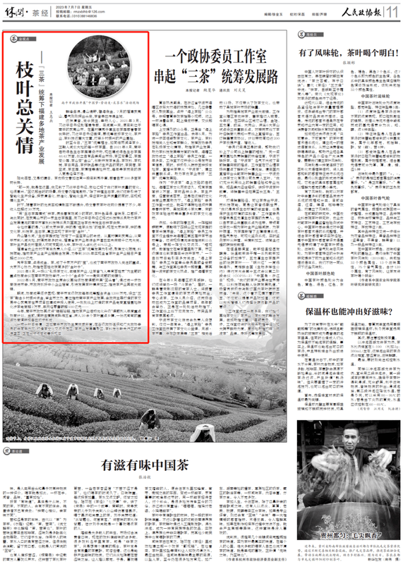 有关于枝叶总关情——“三茶”统筹下福建多地茶产业发展的最新消息