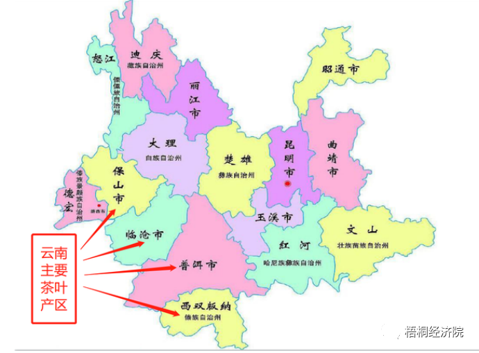 有关于云南省茶产业建设和地方债支持情况汇总分析的信息(11)