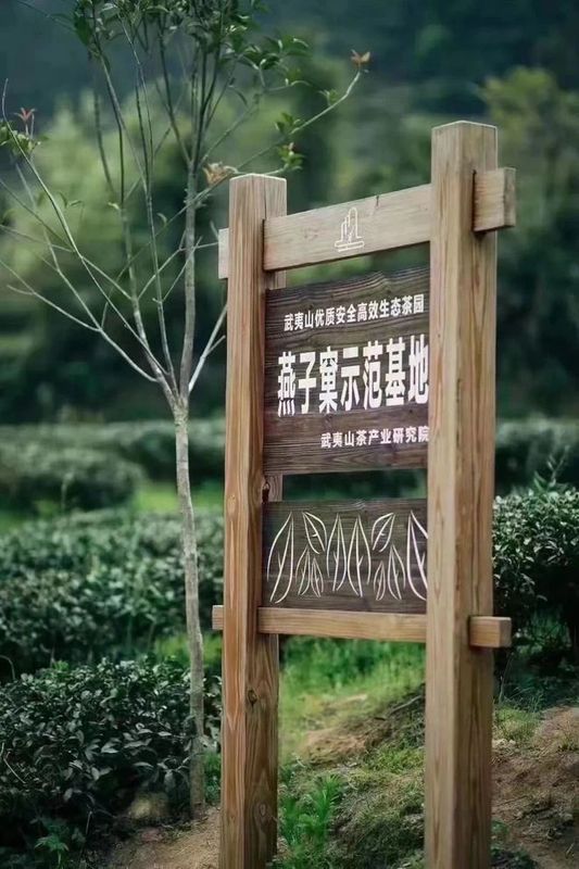 有关于茶业经济：全产业链视角下的茶叶生态产品价值如何实现？的最新消息(6)